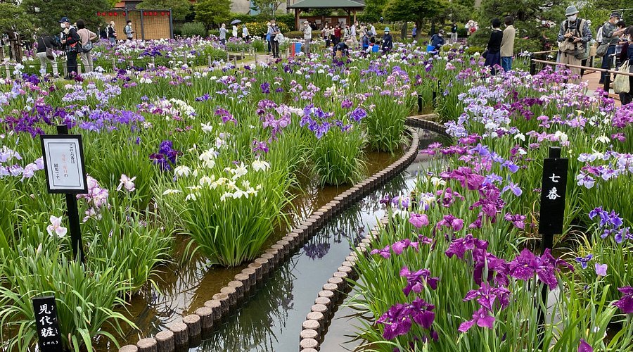 🌸 호리키리 붓꽃 정원(호리키리 쇼부엔) 이미지 1